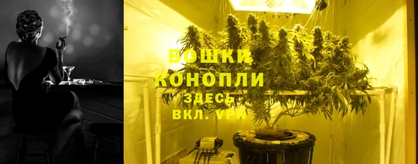 шишки Лабытнанги