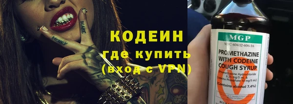 шишки Ладушкин
