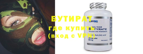 шишки Лабытнанги