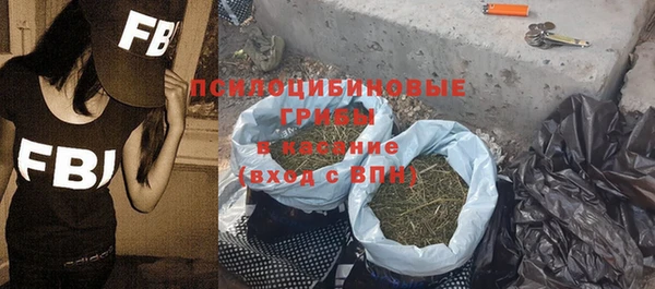 шишки Лабытнанги