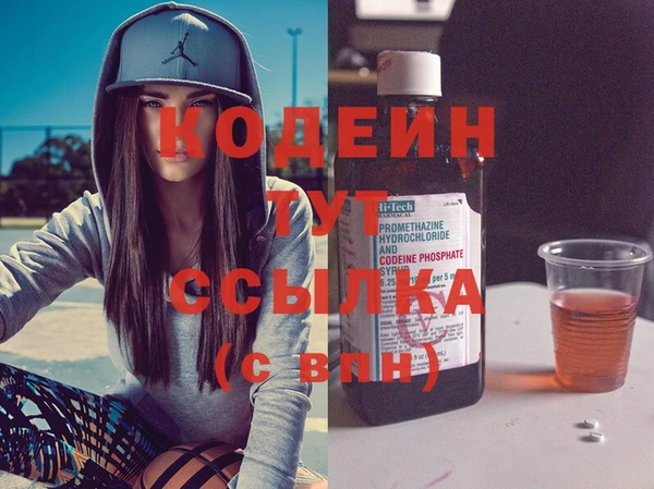 шишки Ладушкин