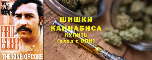шишки Лабытнанги
